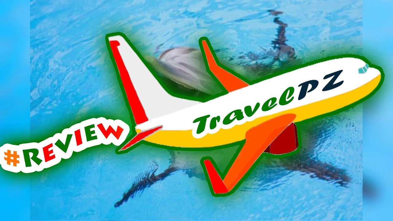 「TravelPZ」 Review Dolphin Moments at Resorts World Sentosa: Meet Indo-Pacific Bottlenose Dolphins |