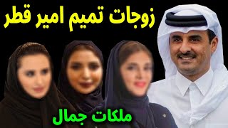 لن تصدق كم عدد زوجات وأولاد أمير قطر الشيخ تميم بن حمد آل ثاني وشاهد كيف يعيشون حياة الرفاهيه !!