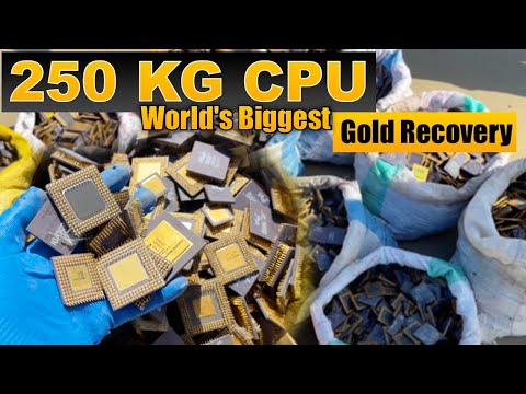 World's Biggest Gold