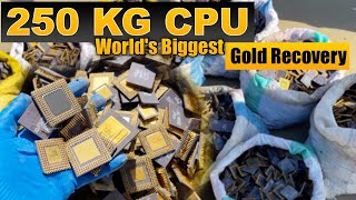 World's Biggest Gold Recovery on Youtube | 250 KG Ceramic CPU Processors Gold Recovery #GoldRecovery
