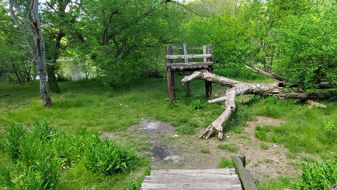 Recorriendo Isla en Parque Pereyra Iraola