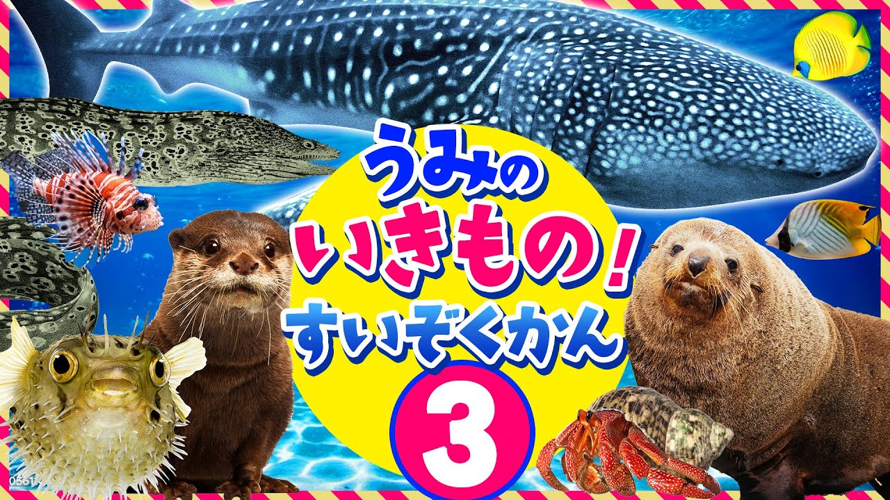 【動く！海の生き物★水族館③】海の生き物の名前を覚えよう！船に乗って動物を探しにいこう！