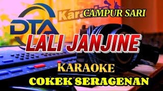 Download lagu LALI JANJINE KARAOKE DANHDUT KOPLO VERSI CAMPURSARI #dangdutkoplo #cokek_sragenan