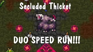 Rotmg Secluded Thicket Duo Speedrun 448