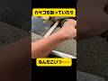 なんだこいつ……#shorts #穴釣り