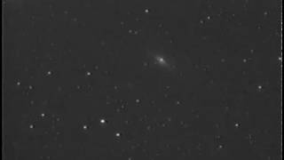 MallinCam PRO 2004 09 05 NGC 7331