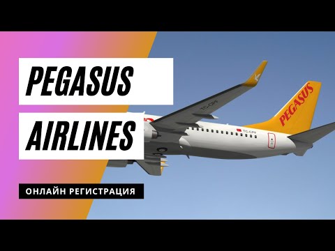 Регистрация | Pegasus Airlines. Как пройти онлайн регистрацию на рейс.