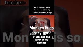 new monkey is also man like .snd share.