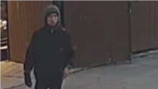 Champaign Co. Crime Stoppers looking for tips on car burglar
