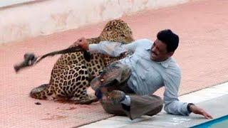 ЛЕОПАРДЫ ТЕРРОРИЗИРУЕТ НАСЕЛЕНИЕ ИНДИИ | МОМЕНТЫ ЧУДЕСНОГО ВЫЖИВАНИЯ ЛЮДЕЙ ПОСЛЕ НАПАДЕНИЯ ЛЕОПАРДОВ