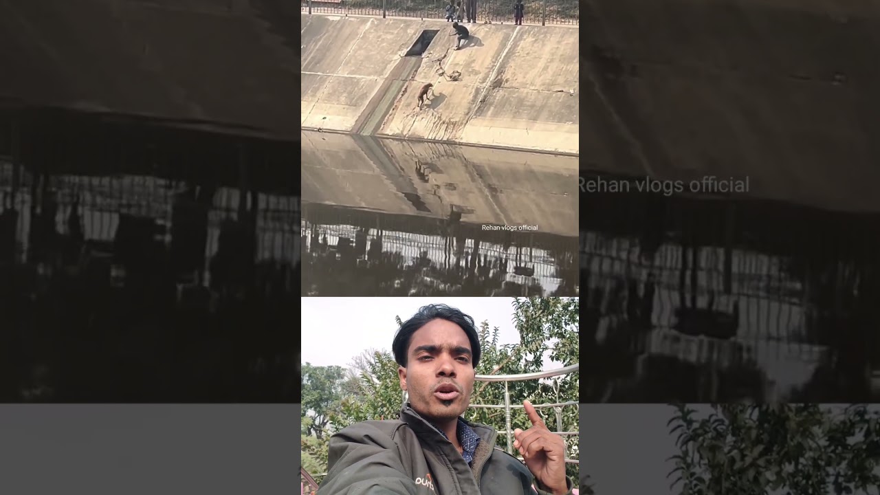 Innocent child, dog, help 😎❤️ Sigma rule | inspirational quotes motivational  