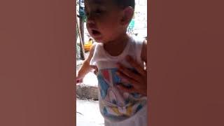 NESTEA NESFRUTA DALANDAN