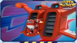 ✈[SUPERWINGS] Superwings5 Full Episodes Live | Super Wings Compilation✈