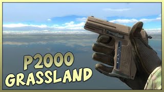 Grassland | P2000 (csgo skin preview) @csgoskininspector9362