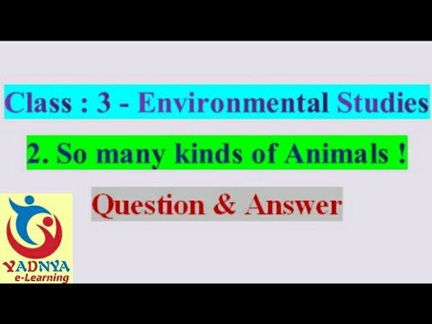 So many kinds of Animals, Question and Answer, EVS, Chapter 2, Class 3 -  YouTube
