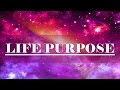 FINDING PURPOSE | EP1 | Raising Vibrations