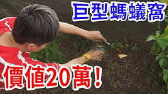 好棒bump Youtube