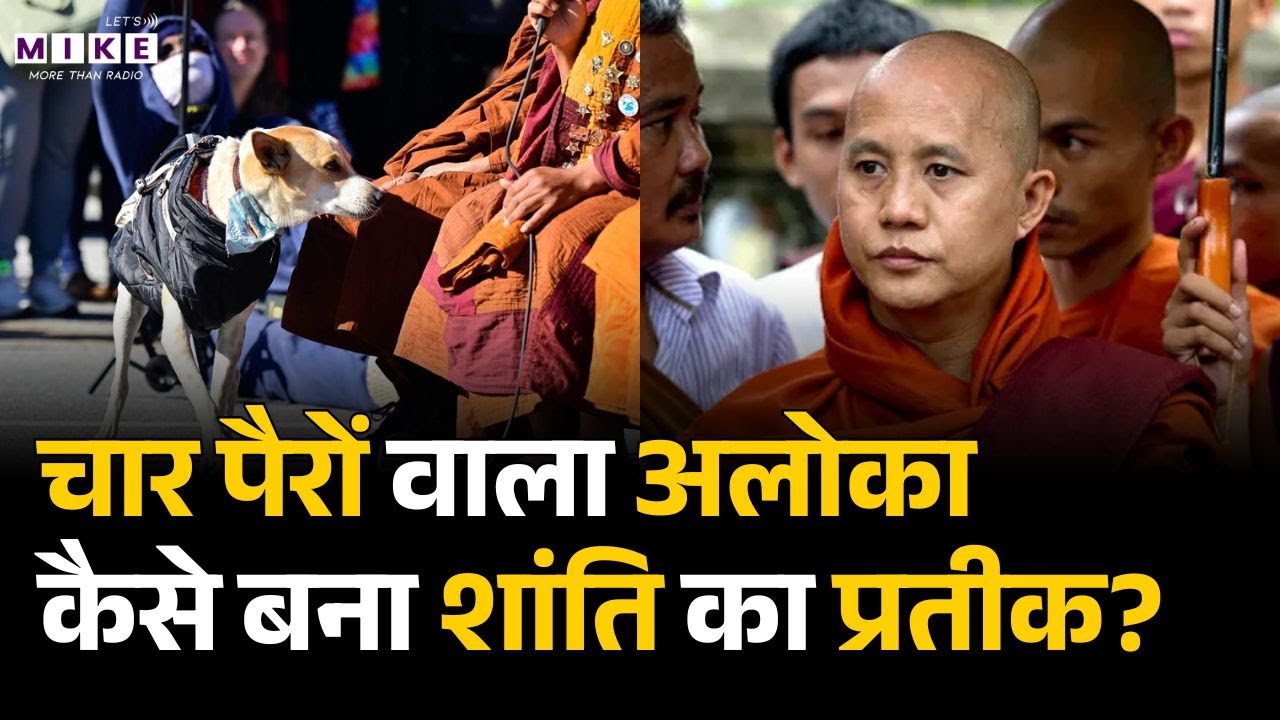 चार पैरों वाले अलोका ने सबको हैरान कर दिया ! | Buddhist Monks & Aloka Peace Dog | USA