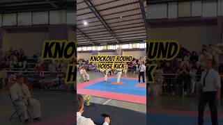 knockout Round House Kick #shortsfeed #combatsport #mma