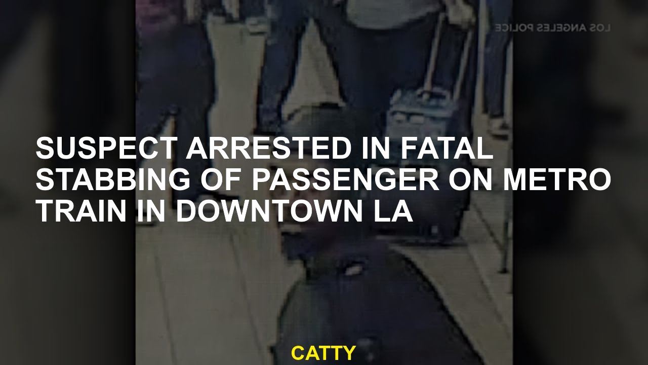 Suspect arrested in fatal stabbing of passenger on Metro train in ...