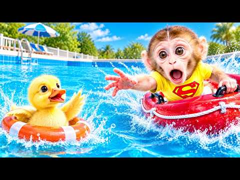 Baby monkey BonBon rescues the lost duckling in the pool and takes care of it