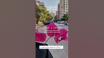 #ادريس_ابكر #اكسبلور #اسمعنا #دويتو #funny#تلاوة_خاشعة #راحة_نفسية #اجر_لي_ولكم#oração#korean #islam