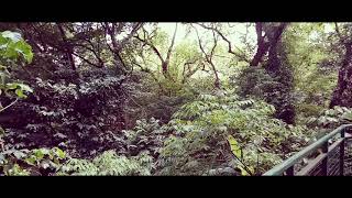 Menunggu Kamu (Jelita Sejuba) Cover Version