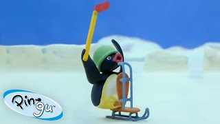 Pingu Plays Ice Hockey 🐧 | Pingu - Official Channel | Cartoons For Kids