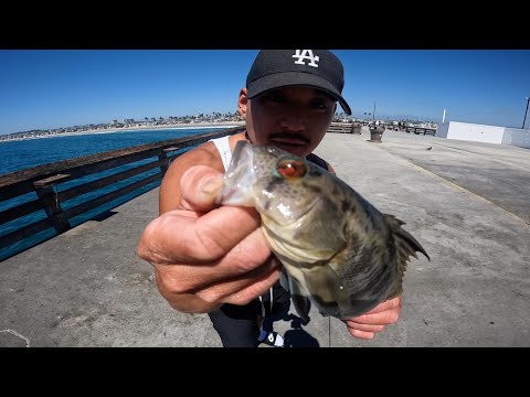 Fishing At The