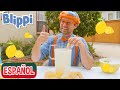 Blippi pone un puesto de limonada | Aprende con Blippi | Videos Educativos