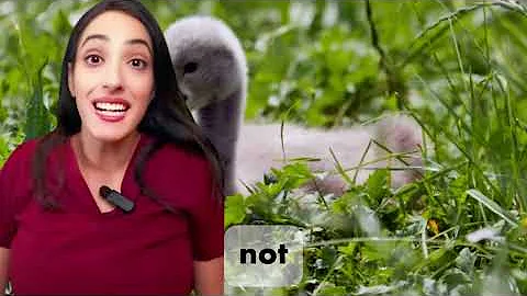 Is L-Arginine the key to Stronger and Longer Lasting Erections? INSPIRED BY | DR RENA MALIK MD