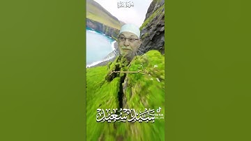[ تلاوة طيبة ما تيسر من سورة البقرة لفضيلة الشيخ/ سيد سعيد ؛؛ رحمة الله تعالى عليه] #صلوا_على_النبي