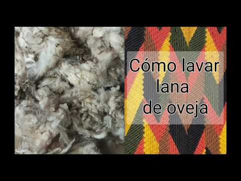 Video: Cómo Lavar La Lana De Oveja