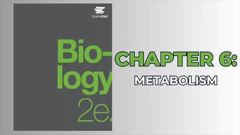 OpenStax Biology 2e (Audiobook) - Chapter 6: Metabolism