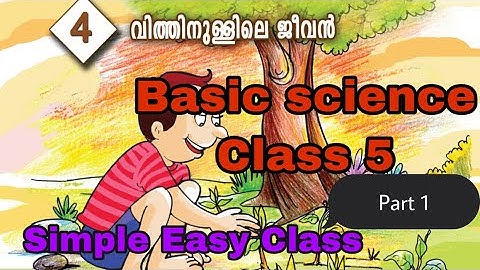 Life within the seed/ Vithunullille jeevan/ Basic science Chapter 4 Class 5