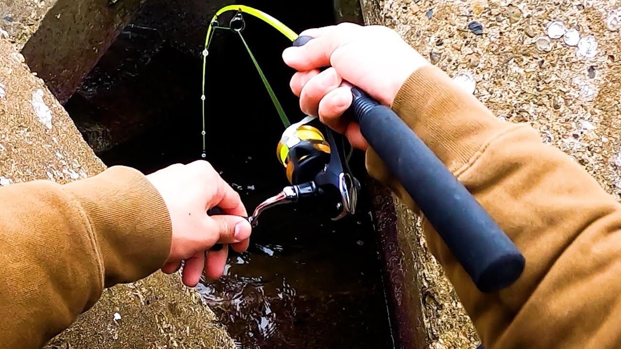 初めてのポイントは根魚の巣窟