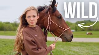 Trying to Break a Feisty Horse as a Teen