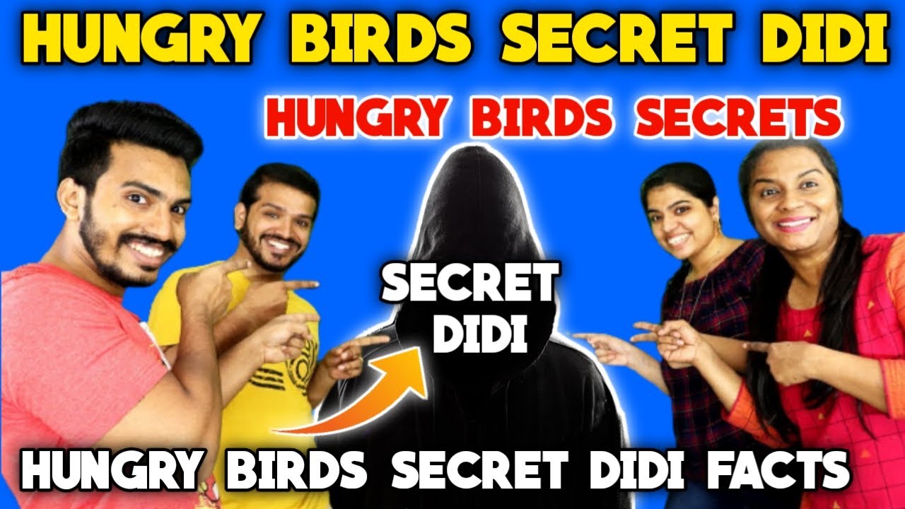 Hungry Birds Secret didi Hungry birds secrets Hungry birds secret