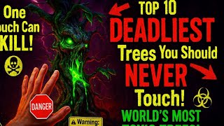 10 Most Dangerous Trees You Should NEVER Touch!