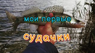 картинка: Впервые ловлю судака, хотя планировал рыбалку на карася 😜