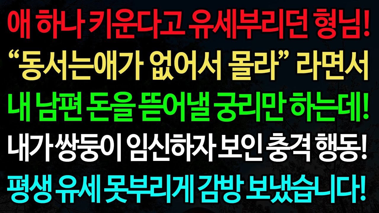 실화사연-애 하나 키운다고 유세부리던 형님! “동서는애가 없어서 몰라” 라면서 내 남편 돈을 뜯어낼 궁리만 하는데! /실화사연/신청사연/사이다썰/반전사연/사연라디오