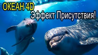 Звук Океана, песни Дельфинов и Китов. 432Гц +4d \\ REAL Ocean sound, Dolphins & Whales, 432Hz + 4d