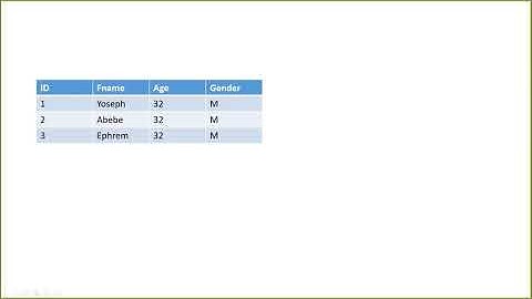 Part 5 MS PowerPoint in Amharic Language  Insert Tab part 1