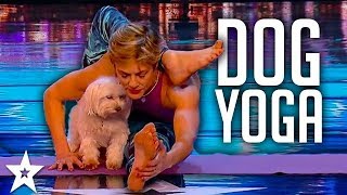 JUDGES Take On DOG YOGA on Britain's Got Talent 2017 | Got Talent Global