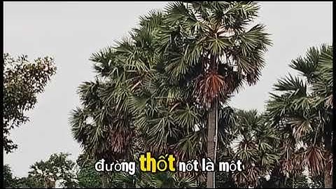 Làng nghề đường thốt nốt ở An Giang Nhóm lớp 9A1