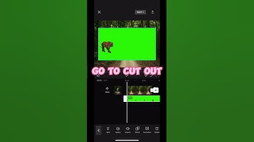 How To Use Green Screen Effect | Chroma key