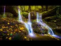 Soothing stress relief music with beautiful nature  stop anxiety depression  bad vibes
