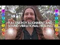 Full alignment energy healing  cleansing negative energies  universal life force energy healing 