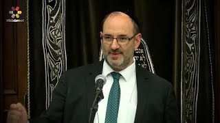 Download lagu M a D in a W E I R D World Rabbi Richard Jacobs M a D in a W E I R D World Rabbi Richard Jacobs