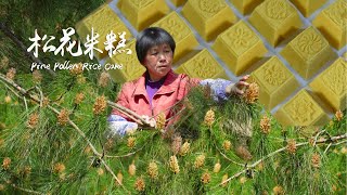 春天里的金色飞雪，阿嬷把松花粉做进米糕里，蓬松香甜的山野美味｜Pine Flower【闽湖阿嬤Fujian Grandma】